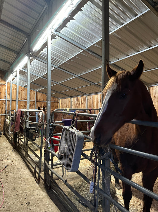 Horse Barn