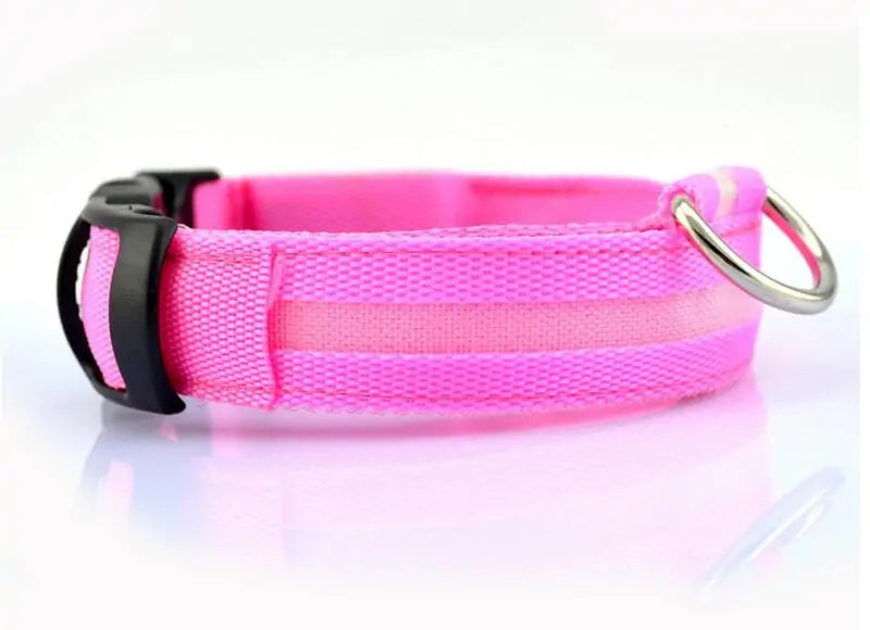 Pet Led Collar Light up Dog Collar