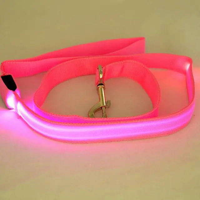 Rechargeable LED Pet Leash