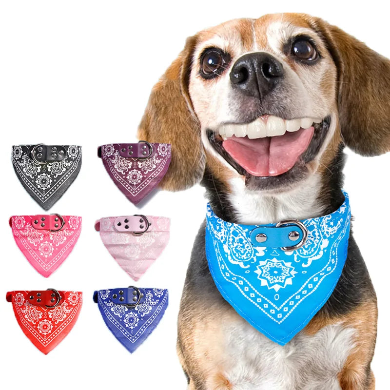 Puppy Pet Bandanna Collar