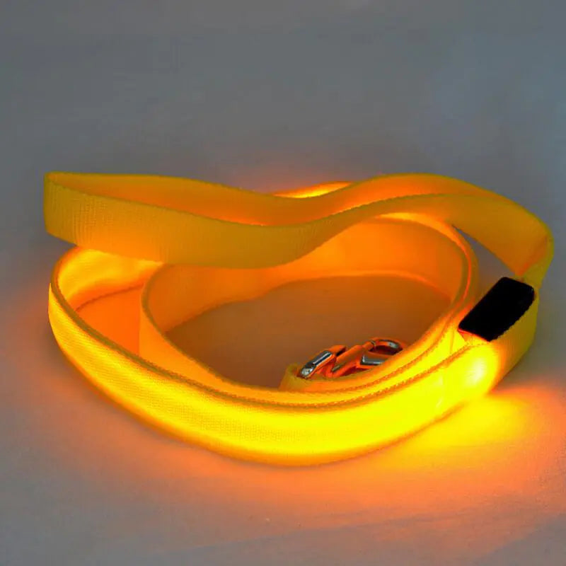 Rechargeable LED Pet Leash