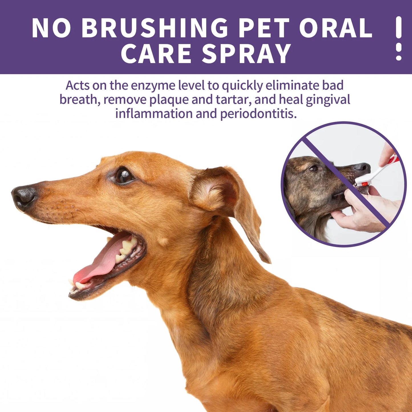 Pet Teeth Cleaning Spray Prevent Calculus Cat Tartars Bad Breath Removal Dog Keep Fresh Breath Deodorization Pet Oral Care Spray