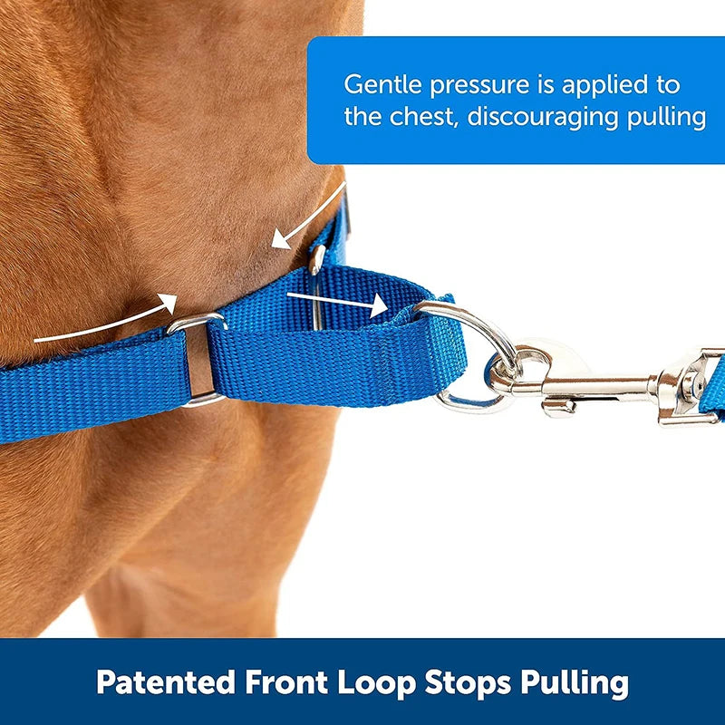 Sturdy Martingale Nylon Dog Collar Adjustable Soft Puppy Pet Collar For Small Large Dogs Training Control Prevents Slipping Out