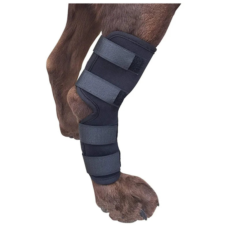 Pet Dog Bandages Dog Injurie Leg Knee Brace Strap Protection For Dogs Joint Bandage Wrap Doggy Medical Supplies Dogs Accessories