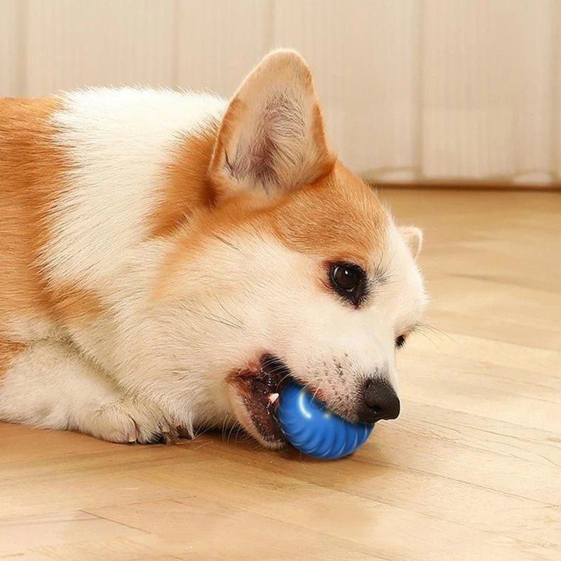 New Smart Rolling Jumping Ball Toy Dog Chew Ball Toy Pet Grinding Teeth Toy for Dog Interactive Supplies Cat Puppy Toys Supply