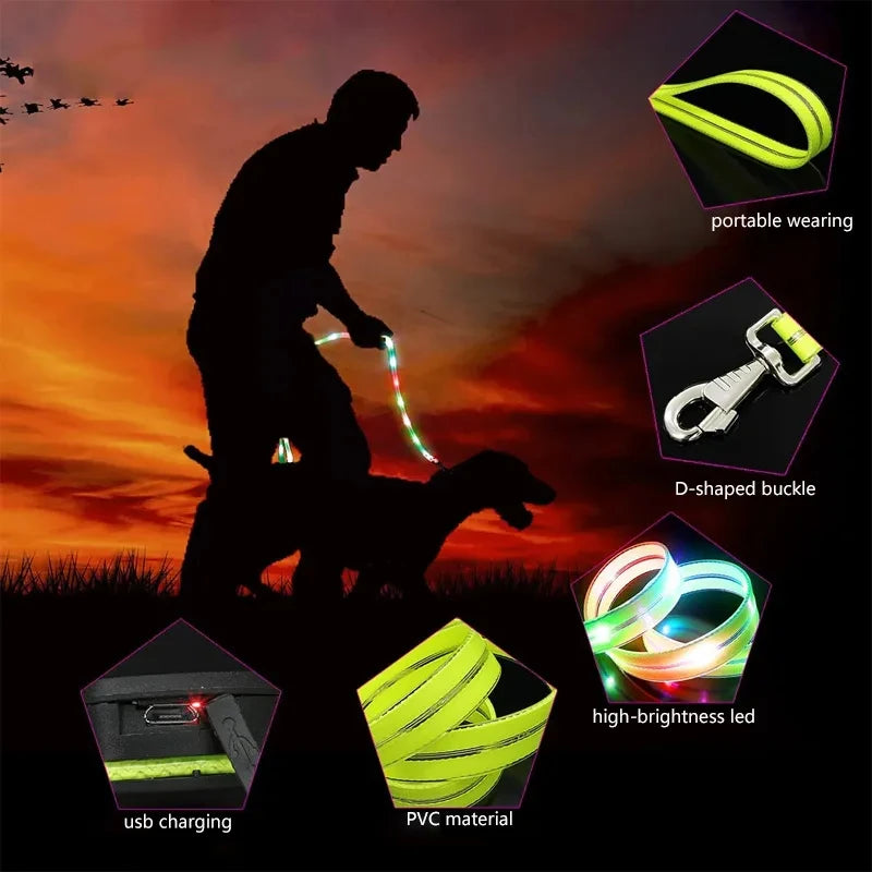 Led Light Up Dog Leash Walking Safety Glow in The Dark USB Rechargeable Adjustable for Large Medium Small Pet Lighted Dog Collar