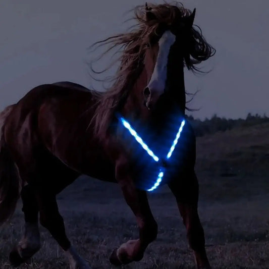 Equestrian Supplies Chargeable LED Horse Harness LED Flashing Horse Collar Breastplate Safe Decoration Horse Equipment