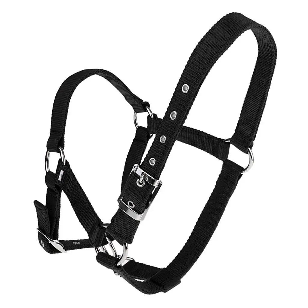 Adjustable Nylon Webbing Equestrian Western Horse Halter Horse Riding Wear Black L