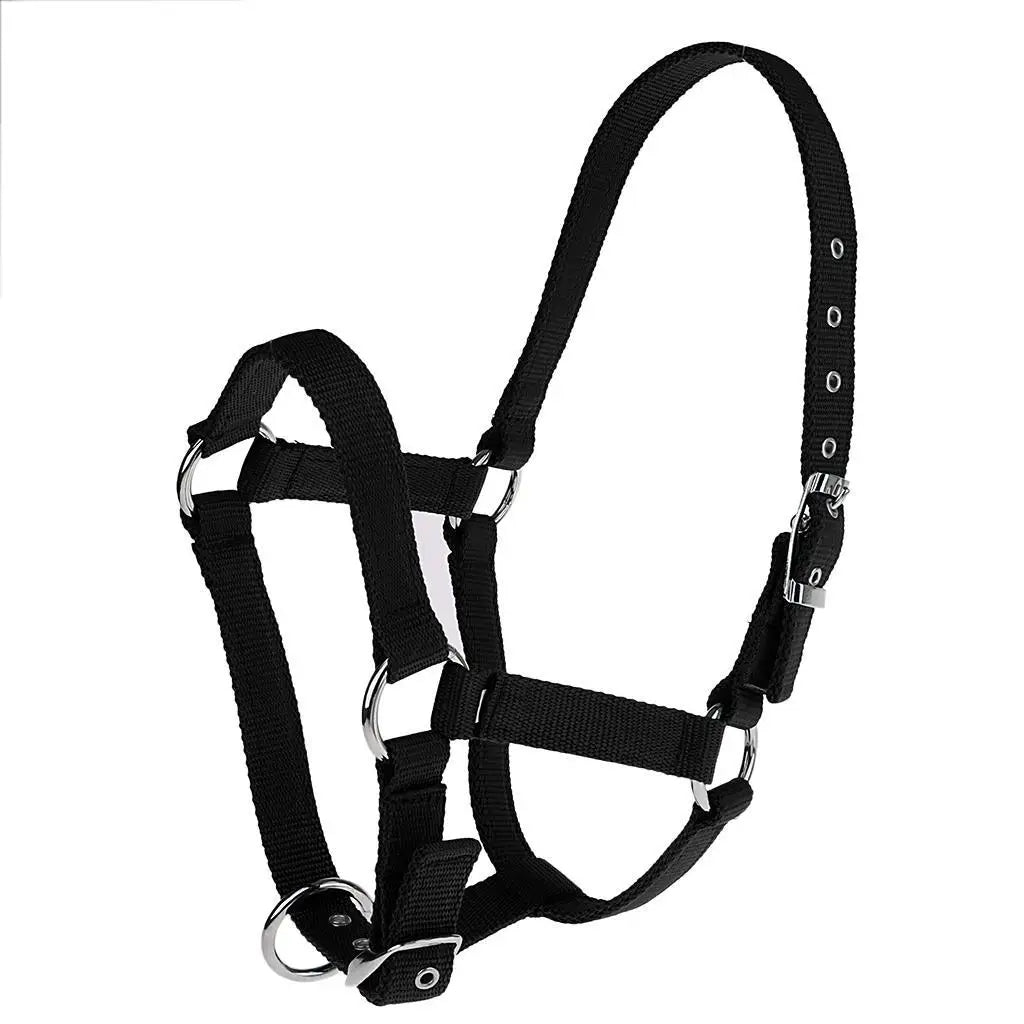 Adjustable Nylon Webbing Equestrian Western Horse Halter Horse Riding Wear Black L