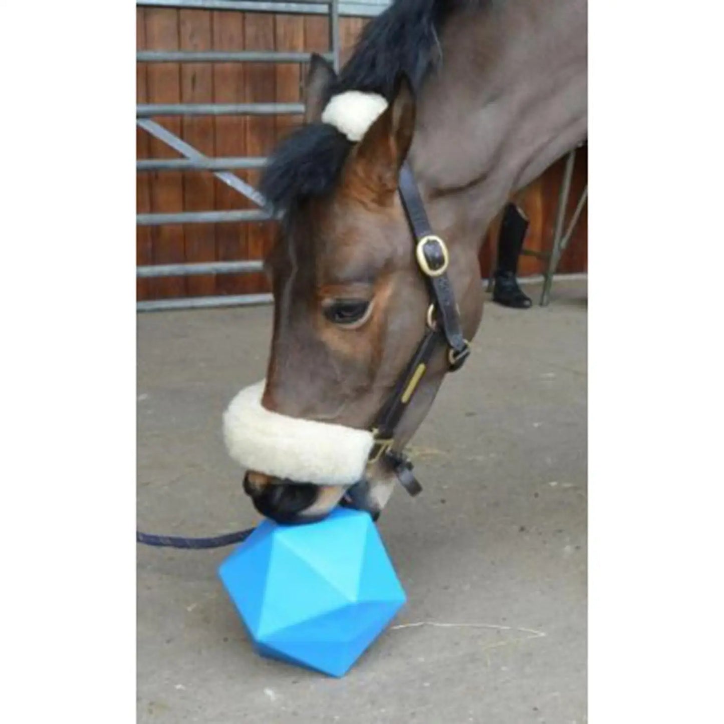 Horse Treat Ball Equine Hay Feeding Toy for Horse Stable Stall Paddock blue