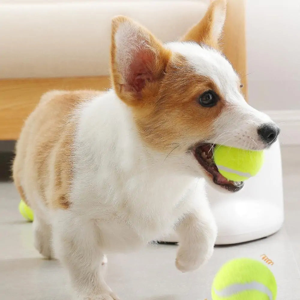 Automatic Interactive Pet Toy - Ball Thrower