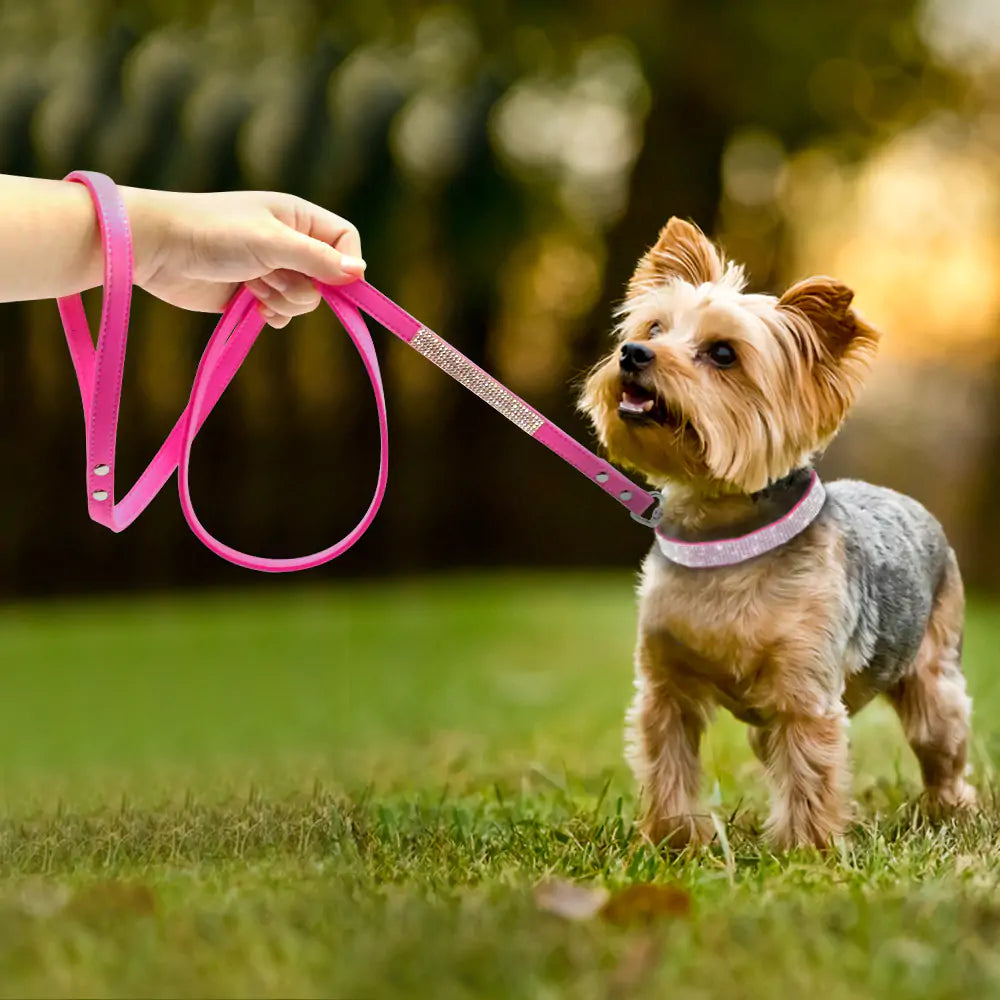 Bling Pet Collar