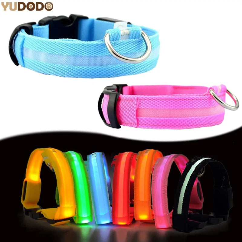 Pet Led Collar Light up Dog Collar