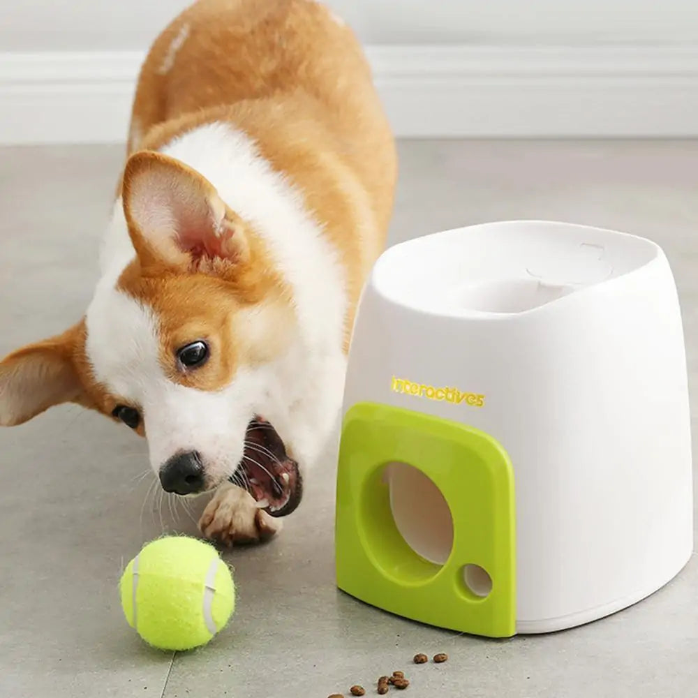 Automatic Interactive Pet Toy - Ball Thrower