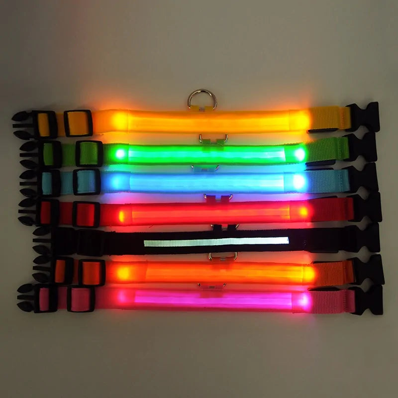 Pet Led Collar Light up Dog Collar