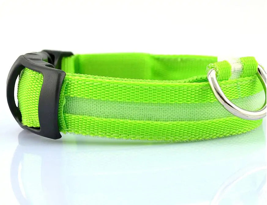 Pet Led Collar Light up Dog Collar