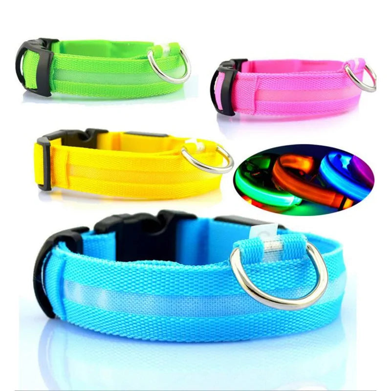 Pet Led Collar Light up Dog Collar