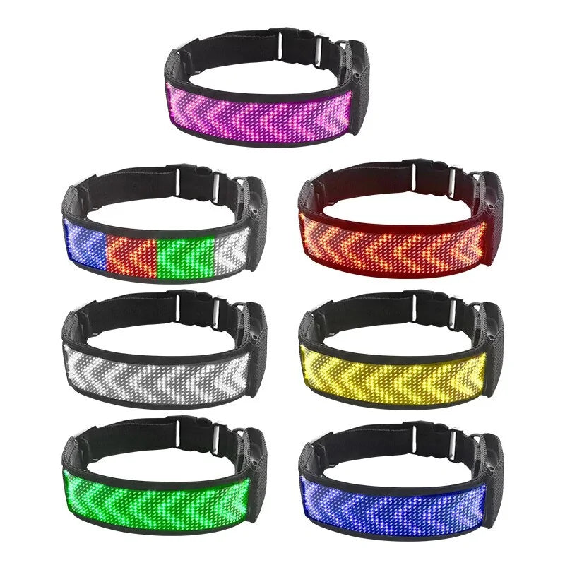 Bluetooth  Luminous Pet Collar